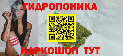 прущие грибы Конаково