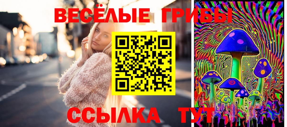 Кизляр  Псилоцибиновые грибы ЛСД  Галлюциногенные грибы Magic Shrooms  Вход с VPN 