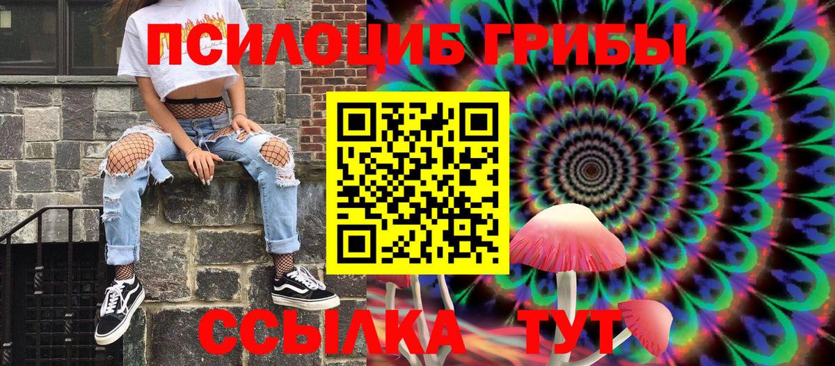 Галлюциногенные грибы Psilocybe Кизляр